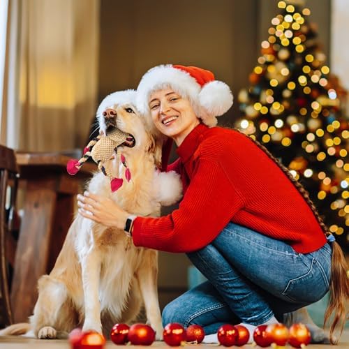 Christmas Squeaky Dog Toys, Stuffed Large Dog Toys to Keep Them Busy, Interactive Plush Chew Toys with Crinkle Paper, Tough Pet Animal Toys for Small Medium Large (Elk) - Image 5