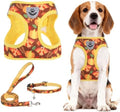 PUPTECK Dog Harness, Collar and Leash Set No Pull for Small Medium Sized by PUPTECK