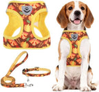 PUPTECK Dog Harness, Collar and Leash Set No Pull for Small Medium Sized by PUPTECK