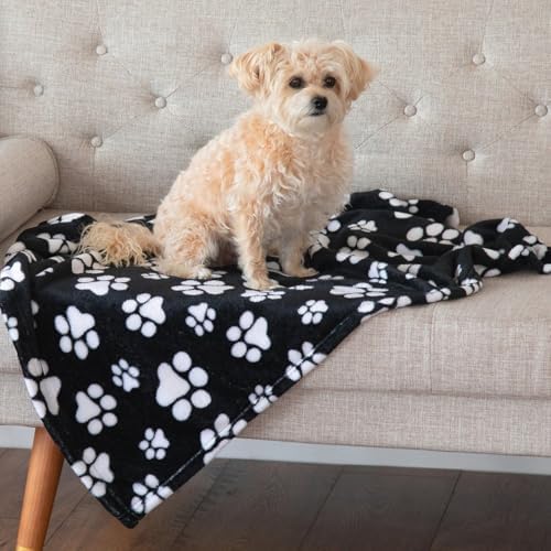Pet Dog Cat Blanket Ultra Soft Cozy Fleece Paw Print Design Machine Washable Durable for Crates Beds Sofas Travel (Argyle Paws, Medium) - Image 6