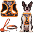 PUPTECK Halloween Dog Harness, Collar and Leash Set No Pull for Small Sized by PUPTECK