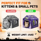 Halloween Cardboard Cat House Scratcher & Play Gift for Indoor Cats - Image 3