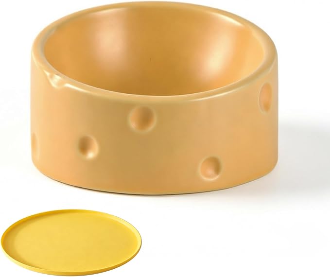 Cat Food Bowl with Food Mat, Ceramic Raised and Tilted Water Bowl, Anti Vomiting and Protection, Cat or Small Dog Feeding Station, Dishwasher and Microwave Safe