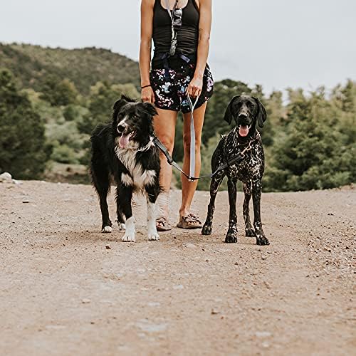 Mighty Paw Double Dog Leash, No Tangle Adjustable Split Lead for Two Dogs | Fits 0-100 Lb, 16-24 In Range, Reflective Stitching, Waterproof, Neoprene Padded Handle
