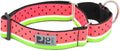 RC Pets 1-1/2 Inch All Webbing Martingale Training Dog Collar, Large, Watermelon