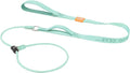HowGo Slip Lead Dog Leash, 2 Spring-Loaded Slide Stopper (MintGreen 5.0FT) | Double Paddle Handles Heavy-Duty Training Lead Collar,Lightweight Aluminum Nylon,No-Pull Walking,All Breeds, Dog Trainer
