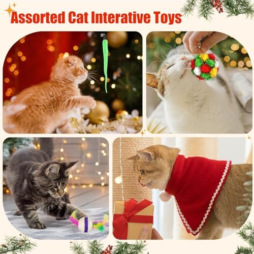 ANOTION Cat Advent Calendar 2026 – 24-Day Christmas Pet Xmas Cat Toys Countdown, Set for Indoor Cats & Kittens, Present for Cat Lovers, Women & Men - Image 7
