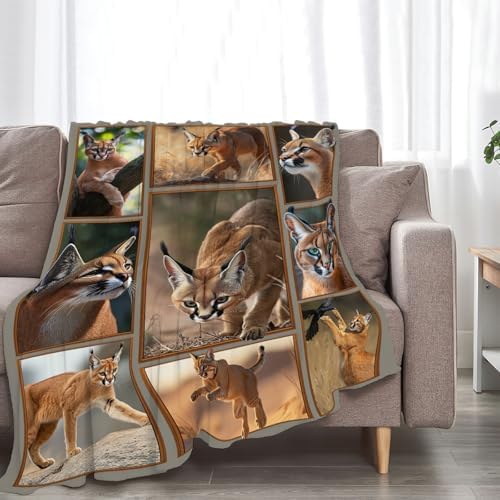 Caracal Blanket African Caracal Animal Lover Throw Blankets Gifts for Girls Boys Kids Soft Cozy Fleece Plush for Couch Sofa Bed 60"x50" - Image 5