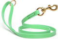 Viper Biothane K9 Working Dog Leash Waterproof Lead for Tracking Training Schutzhund Odor-Proof Long Line with Solid Brass Snap for Puppy Medium and Large Dogs 4ft, Sea Foam Green