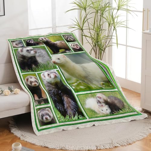Ferret Blanket for Girls Women Boys Men Adults Kids Soft Cozy Fleece Cute Ferrets Throw Blankets Gifts Warm Flannel Plush Lightweight Decor for Couch Bed Sofa 50"X40" - Image 3