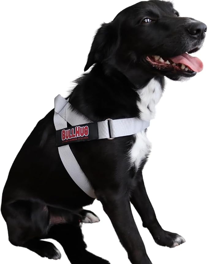 BULLHUG Adjustable Dog Harness– No Pull, No Choke – for English Bulldogs, French Bulldogs, Pugs & Broad-Chested Breeds – Easy, Safe Walks (Silver, Small)