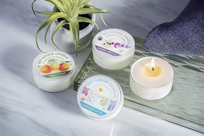 Pet House Mini Candles for Pet Odor Made with Natural Soy Wax, Plant Based, Dog and Cat Friendly Scented Candles, Fall Mix Variety Pack of 3