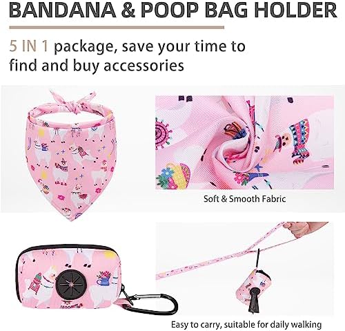 PUPTECK Dog Harness, Collar and Leash Set No Pull for Small Medium Sized - Image 4