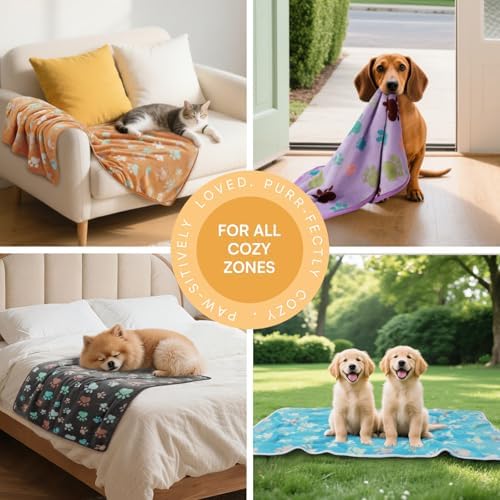 Luciphia 1 Pack 6 Dog Blankets Cat Soft Fluffy Fleece Pet Blanket Warm Cute Print Design Puppy Kitten Doggy Paw Small(23"x16") - Image 3