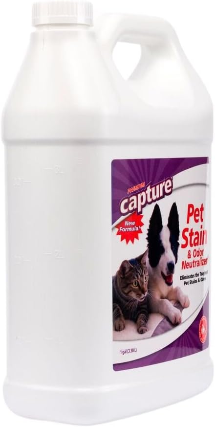 Capture Pet Stain & Odor Remover - Enzyme Pet Odor Eliminator - 1 Gallon | Carpet Stain Remover for Cats & Dog Pee Smell, Cat Urine Destroyer, Carpet Cleaner Spray