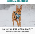 Embark Adventure Medium Dog Harness – No-Pull, Reflective Trim, Military-Grade Nylon, Front Clip with Gel-Lined Handle
