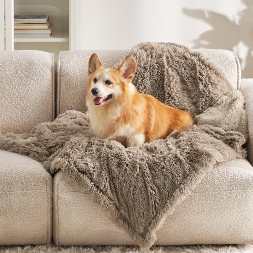 Bedsure Waterproof Dog Blanket for Small Dogs Cats Fluffy Faux Fur, 30x40" by BEDSURE