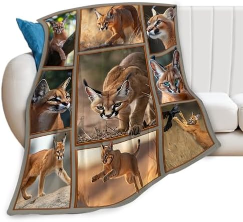 Caracal Blanket African Caracal Animal Lover Throw Blankets Gifts for Girls Boys Kids Soft Cozy Fleece Plush for Couch Sofa Bed 60"x50" by Unknown
