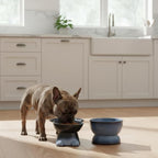 Nihow Dog Food & Water Bowls: Elevated Ceramic Bowls for Medium/Small Dog | Food Safe Raised Puppy Bowls - Gray Pet Bowl for Protecting Pet's Spine (Set of 2)