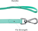 Waterproof Dog Training Leash 50FT 30FT 15FT 10FT 5FT Heavy Duty Recall Long Lead for Large Medium Small Dogs (30FT, Mint Green)