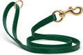 Viper Biothane K9 Working Dog Leash Waterproof Lead for Tracking Training Schutzhund Odor-Proof Long Line with Solid Brass Snap for Puppy Medium and Large Dogs 6ft, Hunter Green