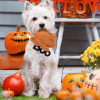 BWOGUE Thanksgiving Turkey Dog Toy, Durable Squeaky Plush Dog Toys, Stuffed Pet Chew Toys Thanksgiving Interactive Pet Toys for Puppy Small Medium Dogs - Image 6