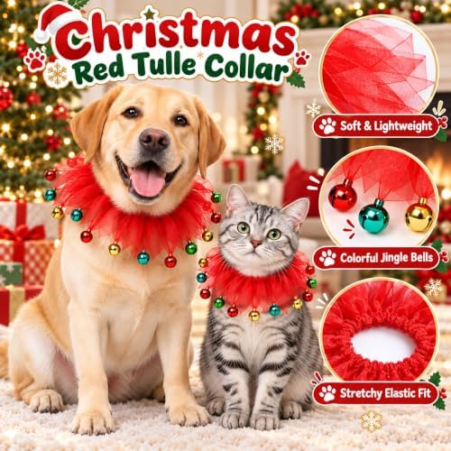 Dog Collar,S - Image 3