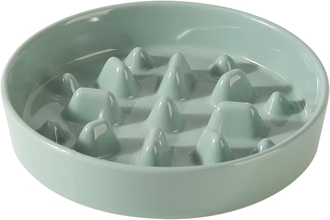 Havniva Slow Feeder Dog Bowls, Ceramic Dog Bowl Slow Feeder for Fast Eater | 1.6 Cups Puzzle Dog Food Bowl, Slow Feeding Bowls for Medium Dogs, Non-Slip Rubber Base, Anti-Choking