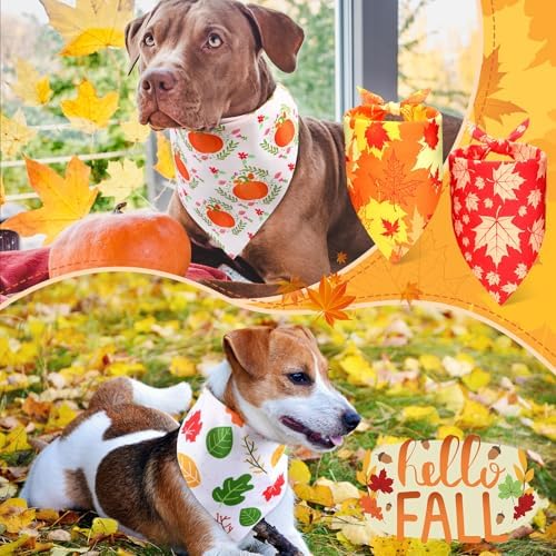 Preboun 50 Pcs Fall Dog Bandanas Bulk, Autumn Pumpkin Maple Leaves Pattern - Image 6
