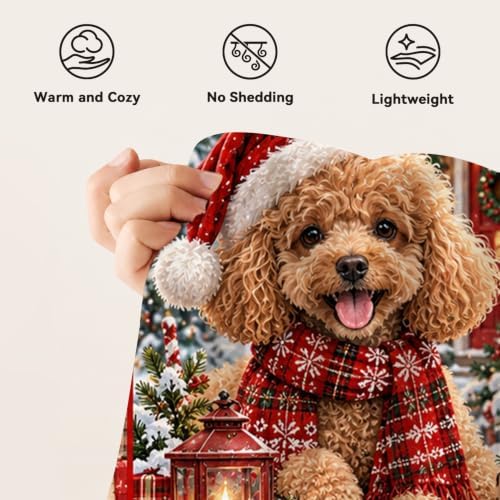 Christmas Poodle Throw Blanket Cute Curly Dog Holiday Gifts 60''X80'' - Image 7