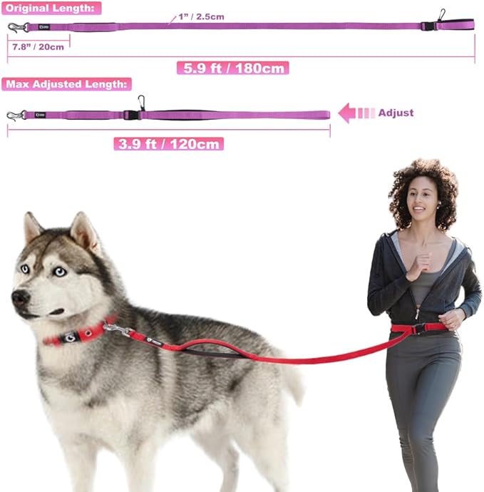 TSPRO 3-in-1 Heavy Duty Tactical Hands Free Dog Leash, Dual Padded Handles | Premium Dog Leash, Waist & Crossbody Wear, Metal Safety Clasp, Adjustable for Medium & Large Dogs, Walking & Running Training