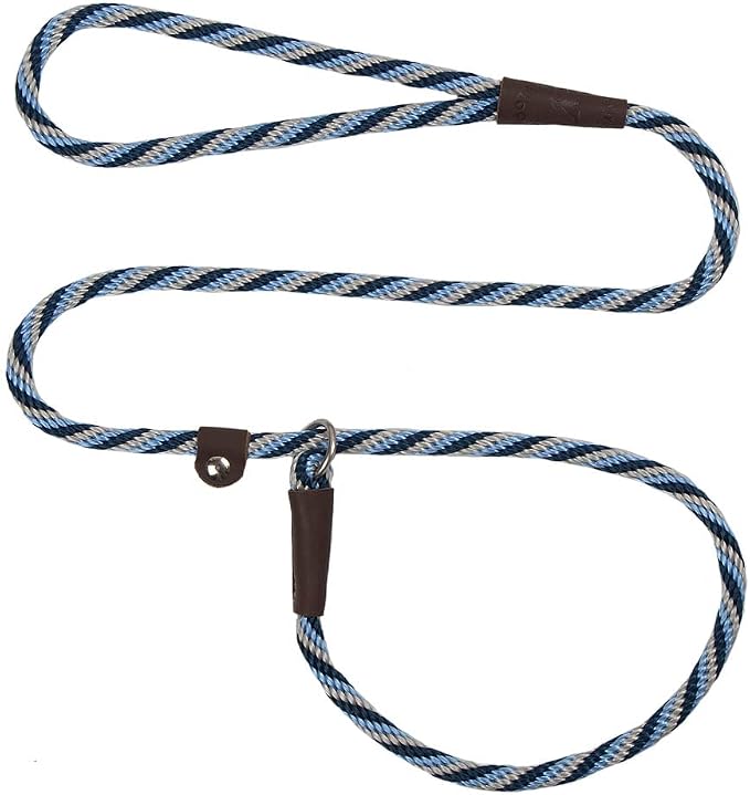 Mendota Pet Slip Leash - Dog Lead and Collar Combo - Made in The USA - Arctic Blue, 3/8 in x 6 ft - for Small/Medium Breeds