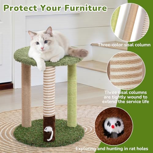 Woochpet Small Cat Tower with Cat Scratching Post,Short Cat Tree for Kitten - Image 5