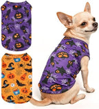 BINGPET 2PCS Dog Halloween Costume, Soft Cotton Puppy Shirt, Bat & Pumpkin by BINGPET