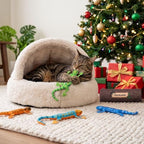 CiyvoLyeen Plush Lizard Catnip Toys with Tree Trunk-shaped Pouch 5 Pack - Image 7