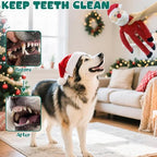 no Stuffing Christmas Dog Toys Squeaky 3-Pack Interactive Chew Toy - Image 4