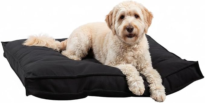 Indoor Dog Bed with Removable Washable Cover, Soft Basketweave Fabric, Reversible Cushion, Carry Handle, Baffle Construction to Help Prevent Fill Shifting, Black - Large (40"x40")