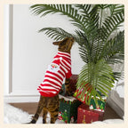 PUMYPOREITY Cat Sweater for Cats Only, Santa Pattern Knit Kitten Sweater - Image 5