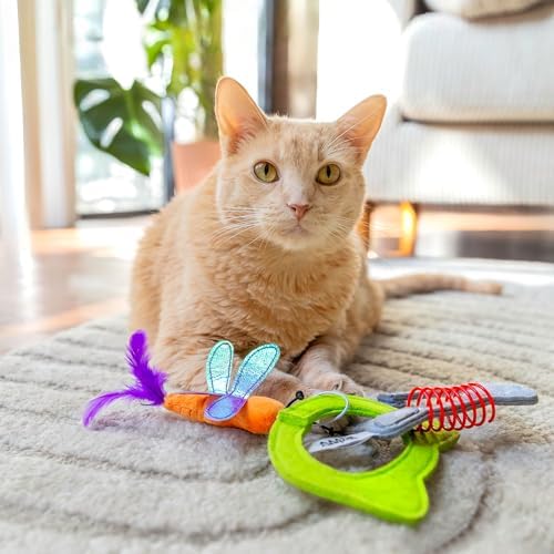 Quirky Kitty Kitty Connects Interactive Cat Toy With Felt Rings And Catnip Dragonfly - Image 5