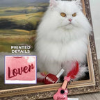 Haute Diggity Kitty Era Tour Guitar + Football Set, Soft Plush Cat Toys - Image 6