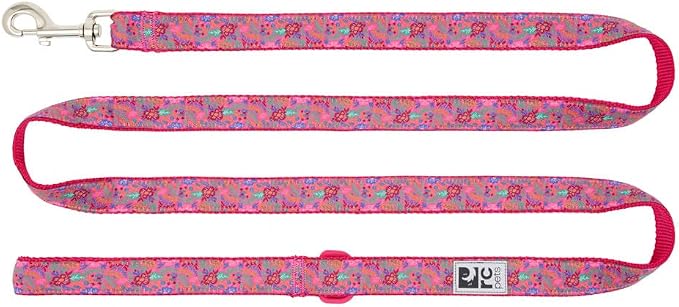 RC Pets Dog Leash | 6ft Leash with Durable Grip, Reflective Label & Accessory Ring | 3/4-Inch Wide, Soft Webbing | Frida