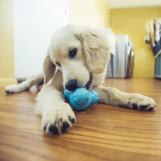 WEST PAW Zogoflex Tux Treat Dispensing Dog Chew Toy – Interactive Chewing Toy for Dogs – Dog Games for Aggressive Chewers, Fetch, Catch – Holds Kibble, Treats, Small 4", Aqua Blue