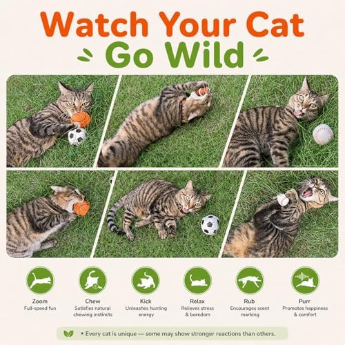 Agape Organic Catnip & Silvervine Filled Cat Toy Balls with Bell Sound - Image 3
