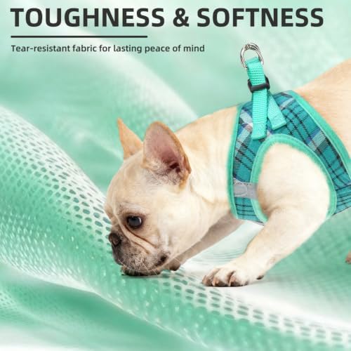 PUPTECK Dog Harness, Collar and Leash Set No Pull for Small Medium Sized - Image 6