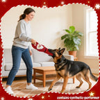 Christmas Dog Toys 3 Pack No Stuffing Squeaky Gift - Image 6
