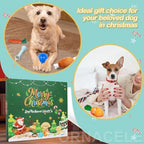 Dog Advent Calendar, 2026 24 Days Pet Toy Christmas Countdown Calendar with Chew Ropes Toys Squeaky Balls Teething Toys for Xmas Small Puppy Terrier - Image 6