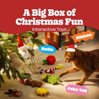Nocciola Christmas Cat Toys Box Gift- Advent Calendar 2026 24Days Surprise - Image 4