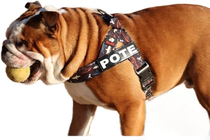 BULLHUG Adjustable Dog Harness– No Pull, No Choke – for English Bulldogs, French Bulldogs, Pugs & Broad-Chested Breeds – Easy, Safe Walks (Shark, Large)