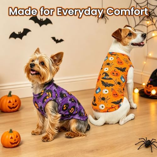 BINGPET 2PCS Dog Halloween Costume, Soft Cotton Puppy Shirt, Bat & Pumpkin - Image 7