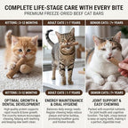 15pcs Freeze Dried Cat Chew Sticks Kitten Beef Treats for Teeth - Image 5